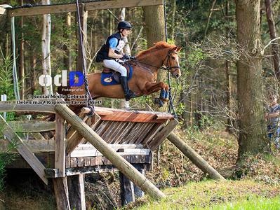 foto-robbe-eventing-etten-leur.jpg