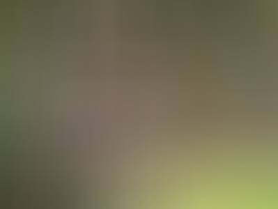foto-robbe-eventing-etten-leur.jpg